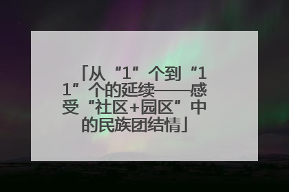 从“1”个到“11”个的延续——感受“社区+园区”中的民族团结情