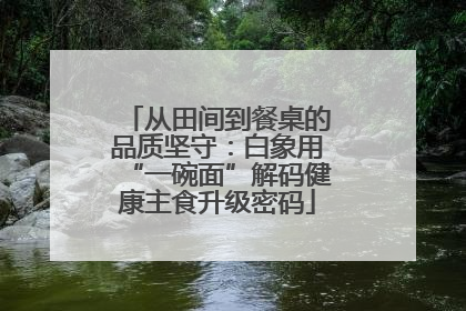 从田间到餐桌的品质坚守：白象用“一碗面”解码健康主食升级密码