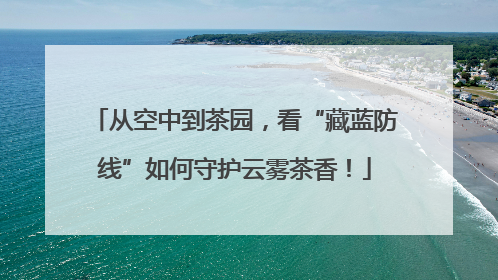 从空中到茶园，看“藏蓝防线”如何守护云雾茶香！