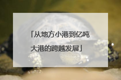 从地方小港到亿吨大港的跨越发展