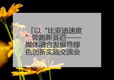 以“比亚迪速度”领跑新赛道——媒体融合发展暨绿色创新实践交流会首站走进比亚迪