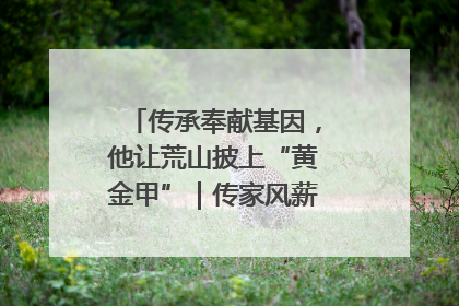 传承奉献基因，他让荒山披上“黄金甲”｜传家风薪火 颂家国情深