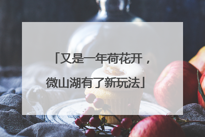 又是一年荷花开，微山湖有了新玩法