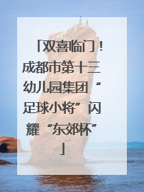 双喜临门！成都市第十三幼儿园集团“足球小将”闪耀“东郊杯”