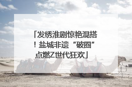 发绣淮剧惊艳混搭！盐城非遗“破圈”点燃Z世代狂欢