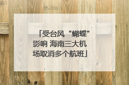 受台风“蝴蝶”影响 海南三大机场取消多个航班