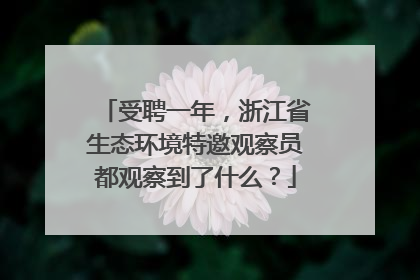 受聘一年，浙江省生态环境特邀观察员都观察到了什么？
