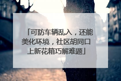 可防车辆乱入，还能美化环境，社区胡同口上新花箱巧解难题