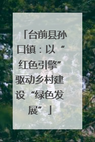台前县孙口镇：以“红色引擎”驱动乡村建设“绿色发展”