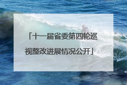 十一届省委第四轮巡视整改进展情况公开