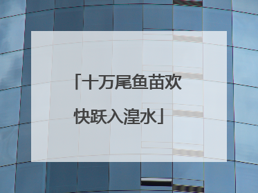 十万尾鱼苗欢快跃入湟水