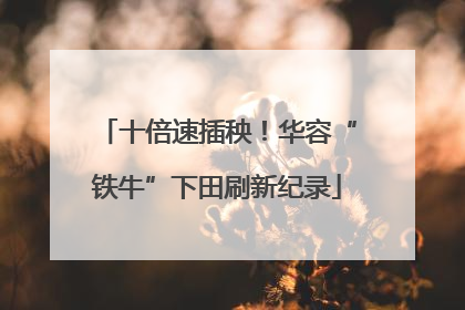 十倍速插秧！华容“铁牛”下田刷新纪录