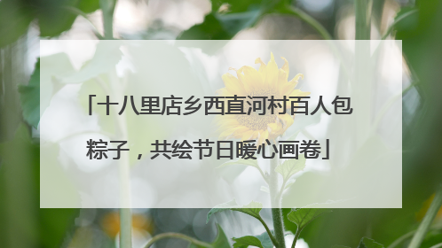 十八里店乡西直河村百人包粽子，共绘节日暖心画卷