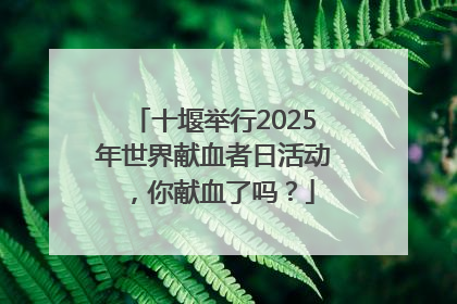 十堰举行2025年世界献血者日活动，你献血了吗？