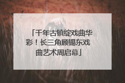 千年古镇绽戏曲华彩！长三角顾锡东戏曲艺术周启幕