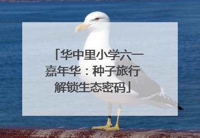 华中里小学六一嘉年华：种子旅行解锁生态密码