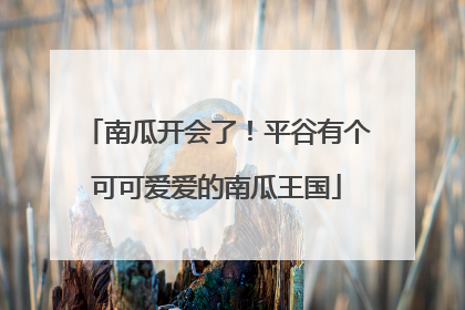 南瓜开会了！平谷有个可可爱爱的南瓜王国