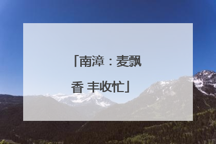 南漳：麦飘香 丰收忙