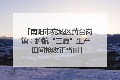 南阳市宛城区黄台岗镇：护航“三夏”生产 田间抢收正当时