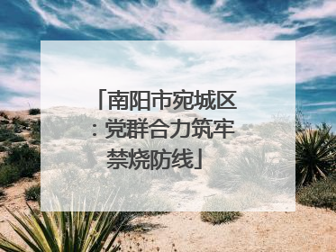 南阳市宛城区：党群合力筑牢禁烧防线
