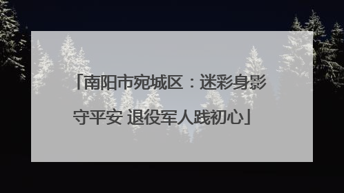 南阳市宛城区：迷彩身影守平安 退役军人践初心