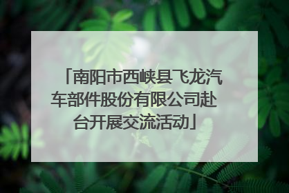 南阳市西峡县飞龙汽车部件股份有限公司赴台开展交流活动