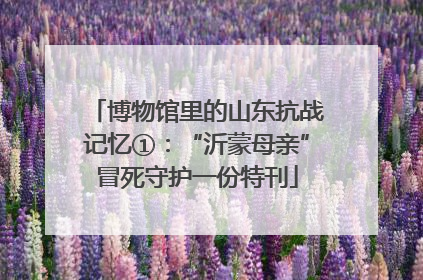 博物馆里的山东抗战记忆①：“沂蒙母亲”冒死守护一份特刊