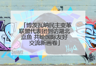 博茨瓦纳民主变革联盟代表团到访湖北嘉鱼 共绘国际友好交流新画卷