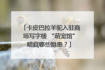 卡皮巴拉羊驼入驻商场写字楼 “萌宠馆”暗藏哪些隐患？