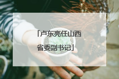卢东亮任山西省委副书记
