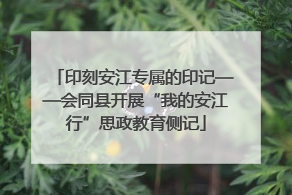 印刻安江专属的印记——会同县开展“我的安江行”思政教育侧记
