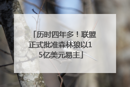 历时四年多！联盟正式批准森林狼以15亿美元易主