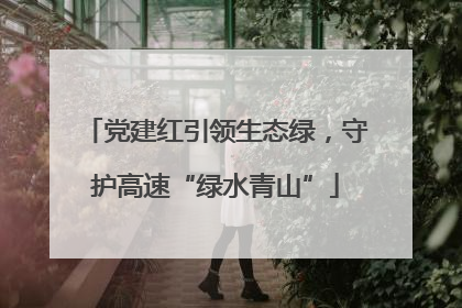 党建红引领生态绿，守护高速“绿水青山”