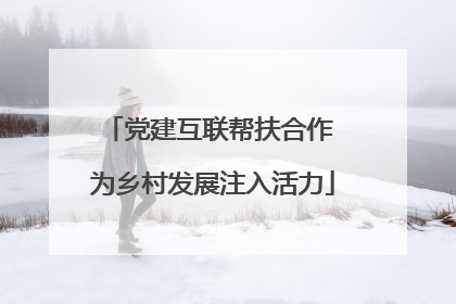 党建互联帮扶合作 为乡村发展注入活力