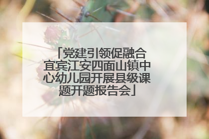 党建引领促融合 宜宾江安四面山镇中心幼儿园开展县级课题开题报告会