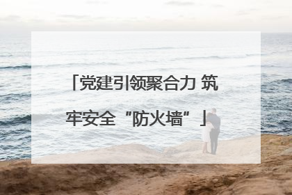 党建引领聚合力 筑牢安全“防火墙”