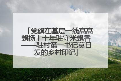 党旗在基层一线高高飘扬丨十年驻守米飘香——驻村第一书记莫日发的乡村印记