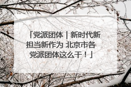 党派团体｜新时代新担当新作为 北京市各党派团体这么干！