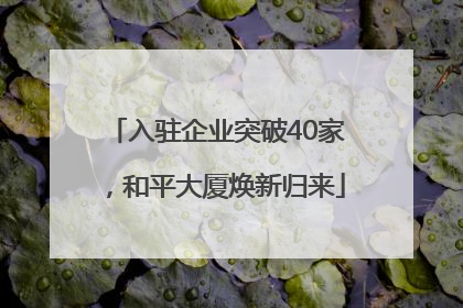 入驻企业突破40家，和平大厦焕新归来