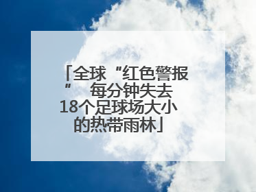 全球“红色警报”  每分钟失去18个足球场大小的热带雨林