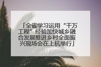 全省学习运用“千万工程”经验加快城乡融合发展推进乡村全面振兴现场会在上杭举行