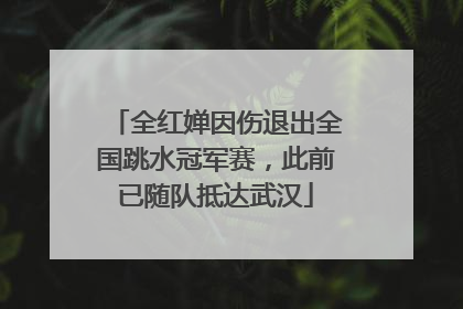全红婵因伤退出全国跳水冠军赛，此前已随队抵达武汉