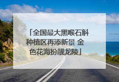 全国最大黑喉石斛种植区再添新景 金色花海扮靓龙陵