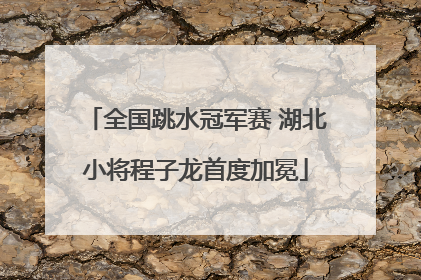 全国跳水冠军赛 湖北小将程子龙首度加冕