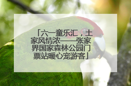 六一童乐汇，土家风情浓——张家界国家森林公园门票站暖心宠游客