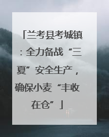 兰考县考城镇：全力备战“三夏”安全生产，确保小麦“丰收在仓”