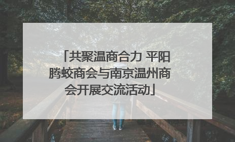 共聚温商合力 平阳腾蛟商会与南京温州商会开展交流活动