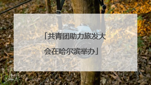 共青团助力旅发大会在哈尔滨举办