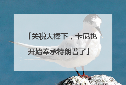 关税大棒下，卡尼也开始奉承特朗普了