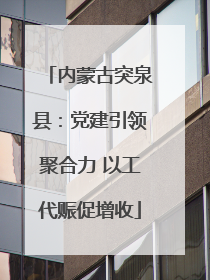 内蒙古突泉县：党建引领聚合力 以工代赈促增收